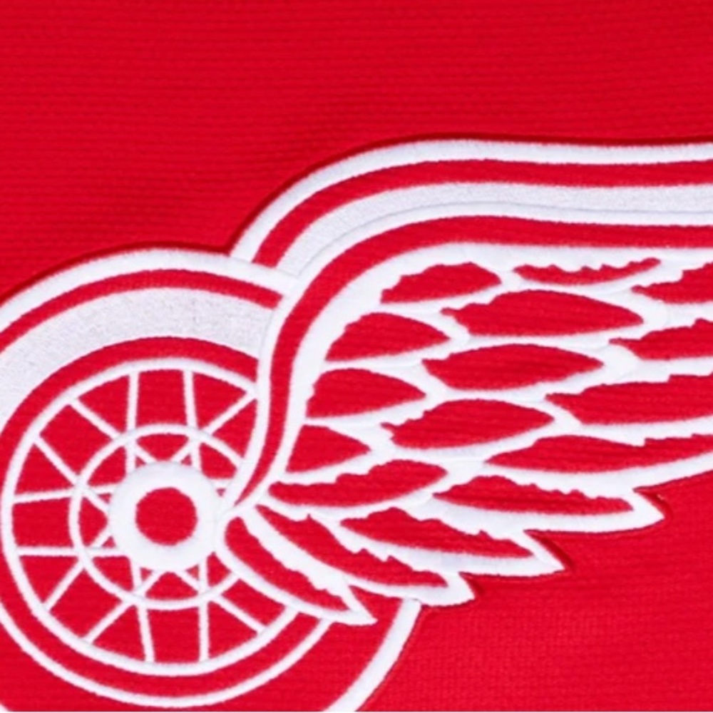 Detroit Red Wings NHL Licensed Embroidered Hockey Jerseys New with Tags - Picture 3 of 8